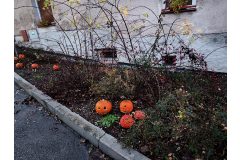 Lampionový svatomartinský průvod